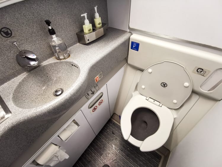 Airplane Lavatory Tips for Wheelchair Users on Long Flights