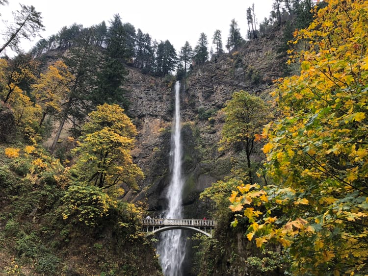 Accessibility Along the Columbia River Gorge (West Columbia)