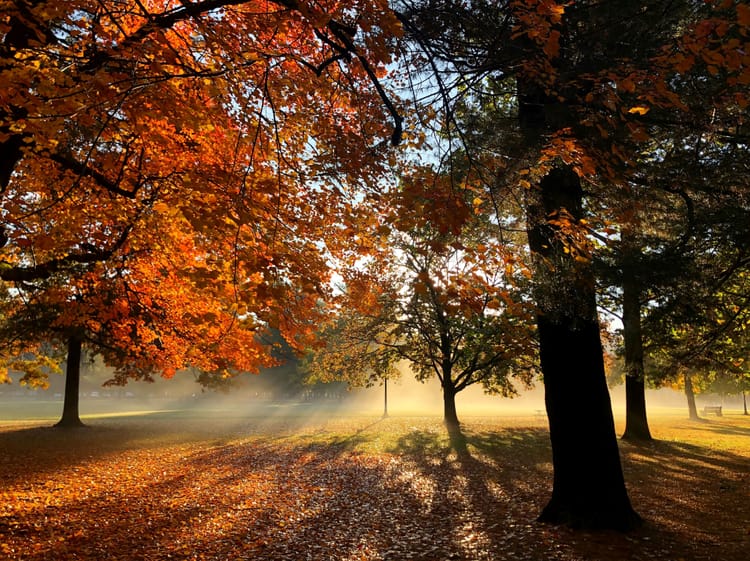 Accessible Travel Guide to Saratoga Springs, NY