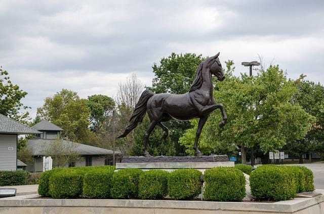 Exciting Accessible Things To Do and Places to Eat in Lexington, Kentucky