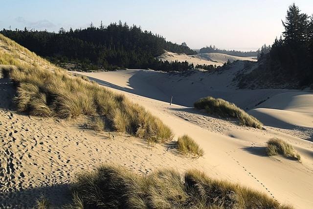 Top 4 Accessible National Parks near Coos Bay, Oregon