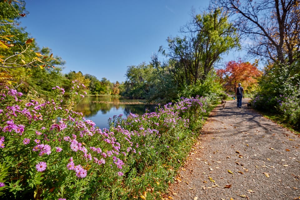 Wheelchair Accessible Guide to Boise, Idaho