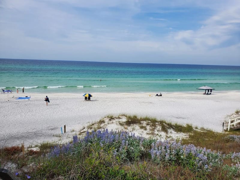 Overlooking Santa Clara Regional Beach in Walton County, FL